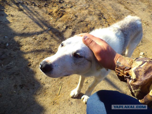 Рыбалка в Астрахани