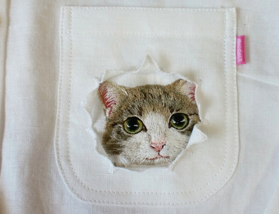 Дресс-кот