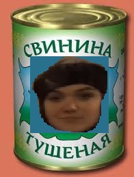 Осада ЗАПОРОЖЬЯ провалилась