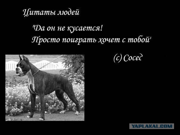 Просто убивают псевдоцитаты