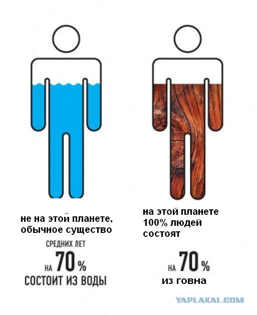 Ученые точно выяснили состав человека!