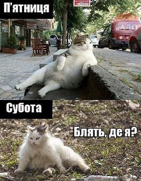 Картинки