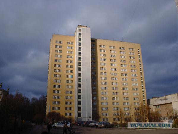 Бауманка Тазы 2014