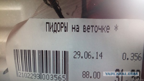 А я ведь предупреждал