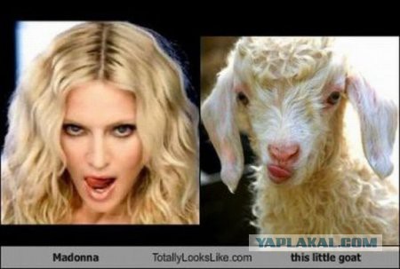 Они нашли себя