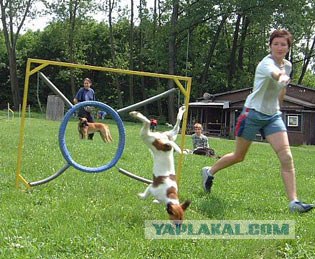 Если бы афиши к фильмам рисовали по названию
