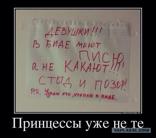 Новые "комментарии из соцсетей"