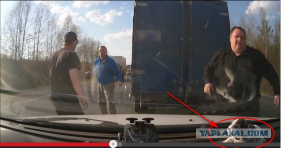 Твари получили по щам. Продолжение в суде
