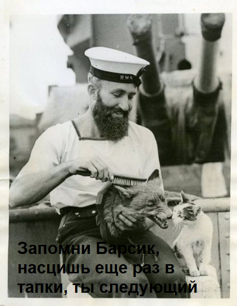 Странные фото.