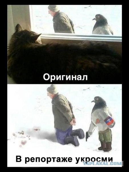 Несущие ненависть вонючие фейкомёты