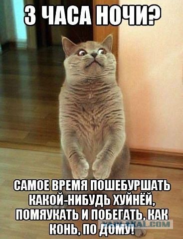 Небольшая подборка фото