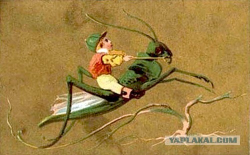 Войска ДНР вошли в Запорожскую область