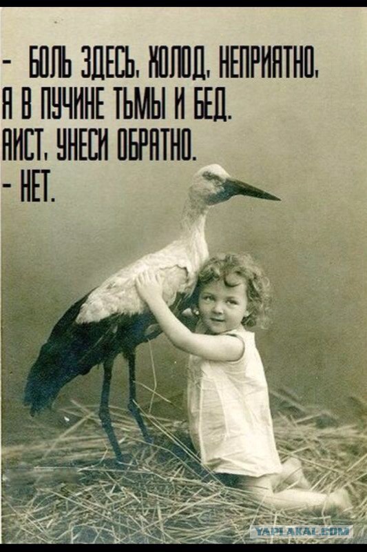 "Я работаю с полнейшими идиотами..."