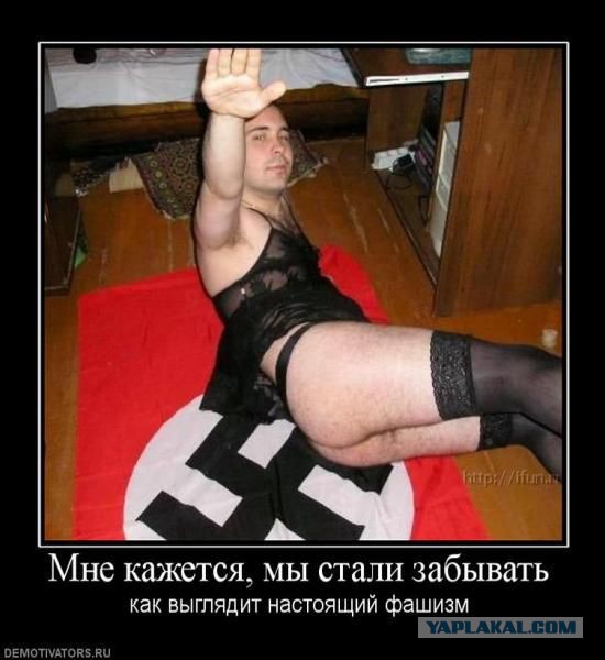 Не приползем и умолять не будем