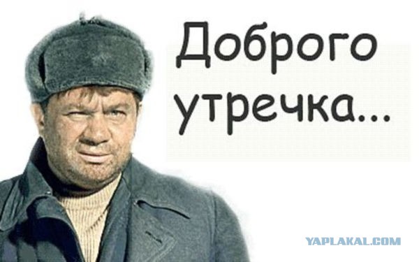 Утро доброе?
