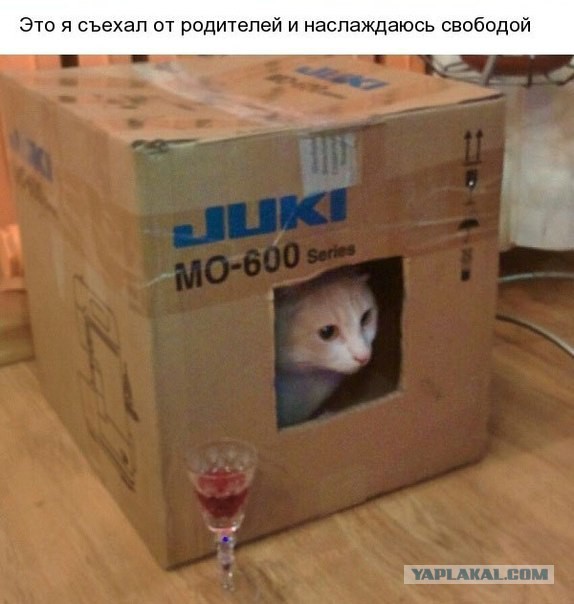 Всех с еженедельным праздником!