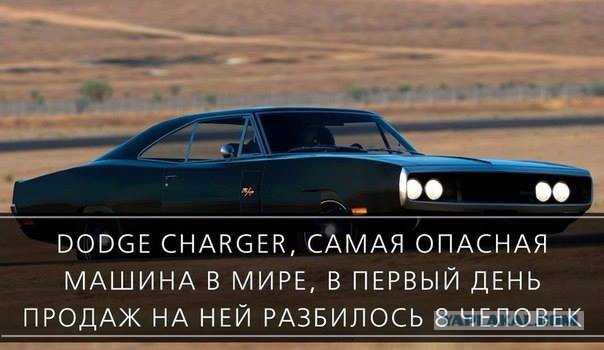 Причина почему не стоит заводить