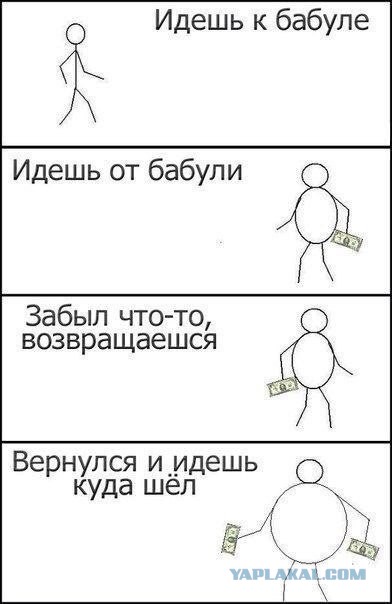 Приехали вот к бабушке по хозяйству помочь