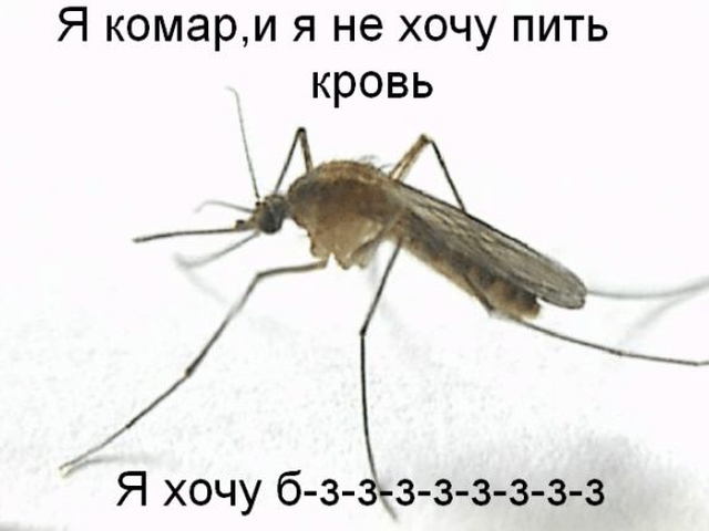 14 неубиваемых предметов, которые останутся