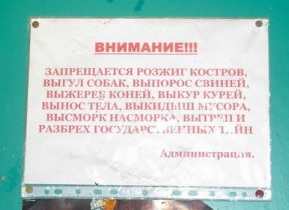 О странном счастье