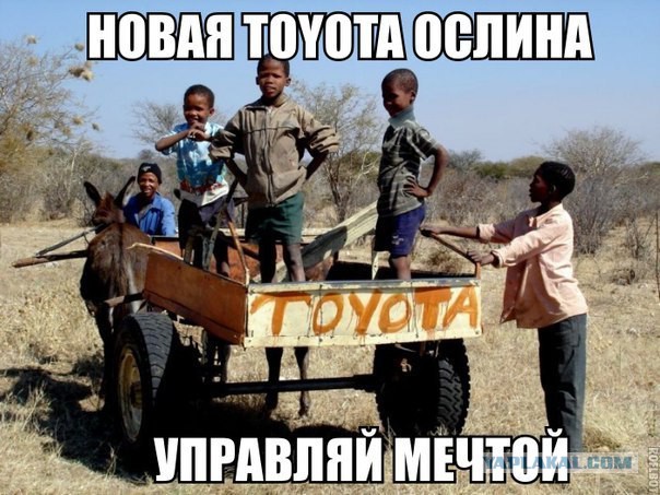 15 картинок с тЫрнета