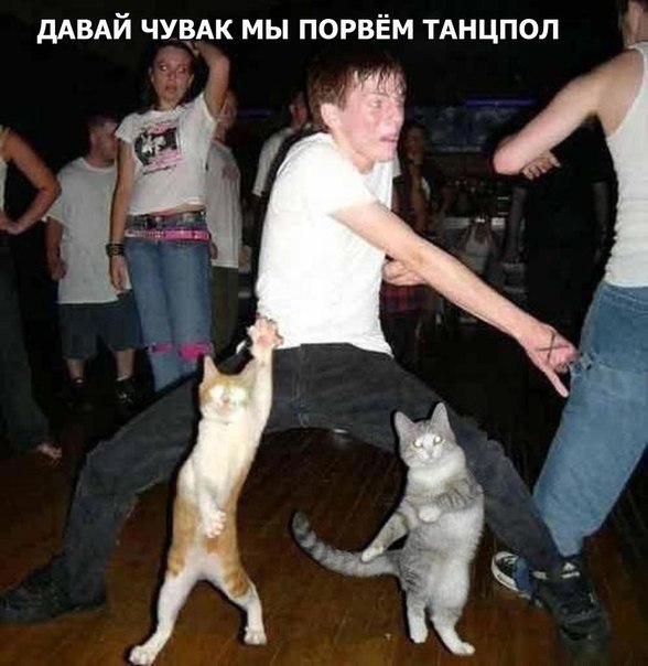 Картинки на утро вторника