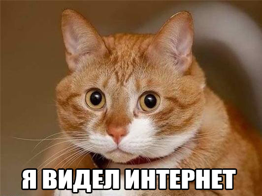 Системные администраторы познавшие дзен