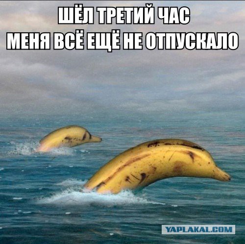 Абсурдный юмор ч.16