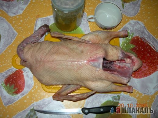Кулинарный архив