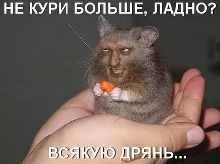 Падла из шкафа