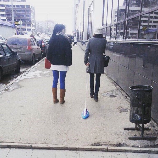 Ужасы и приколы из соцсетей