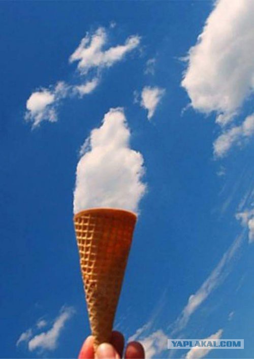 Интересные и веселые картинки