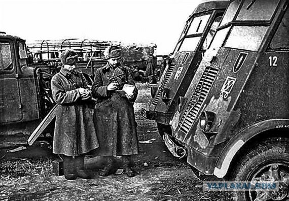 Рабочие лошадки второй мировой