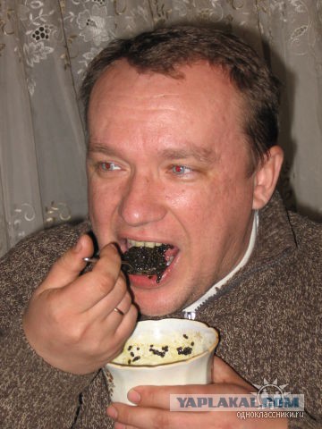 Лучшая закуска к водке