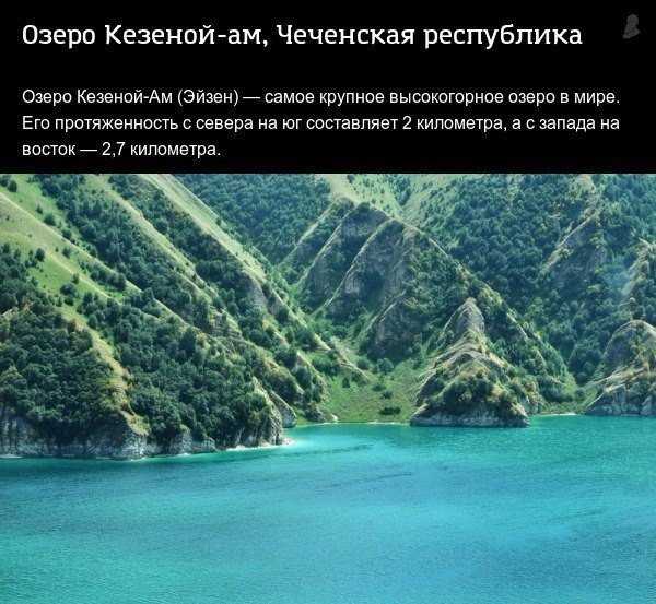 Интересные и веселые картинки