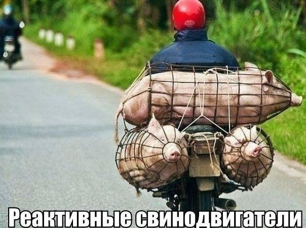 Подборка интересных и веселых картинок