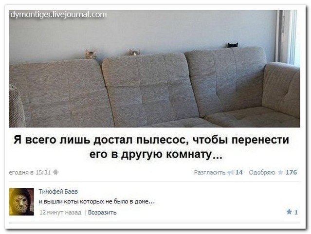 Смешные комментарии из социальных сетей 01.07.2016