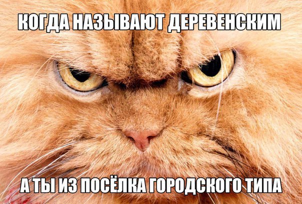 Смешные комментарии 06.07.2016