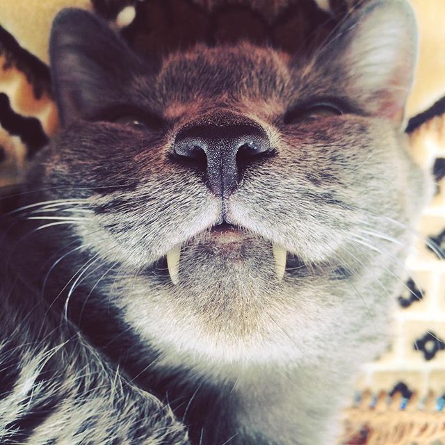 Хороший вечер