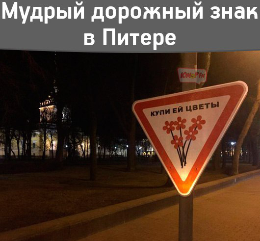 Порция позитива на вторник