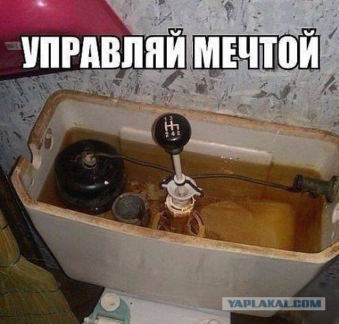 Весёлые картинки