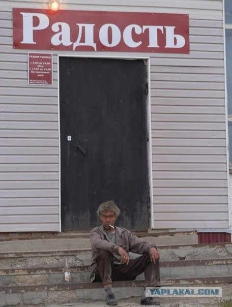 Весёлые картинки