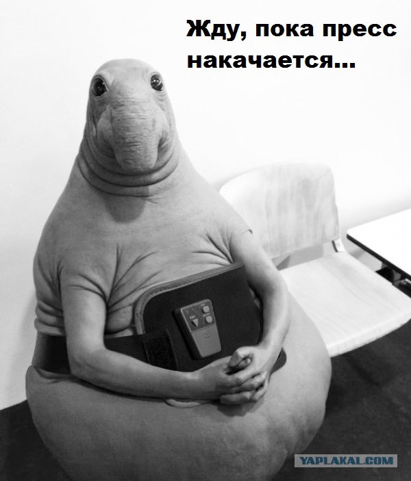 Картинки. Тупые. Очень. 18+ продолжение продолжения.