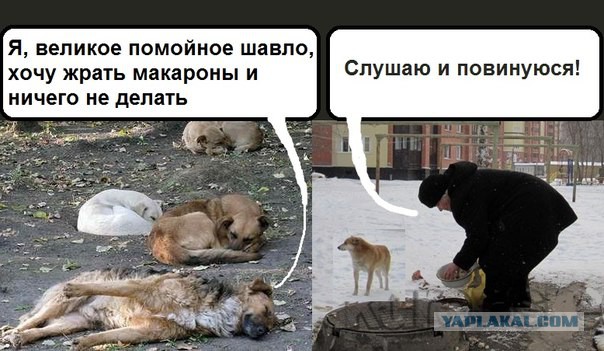16 летний подросток из Барнаула рассказал, как лишился рук, спасая котенка