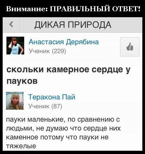 Кто во что горазд