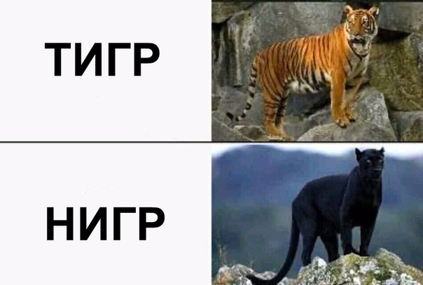 Темнота наступает