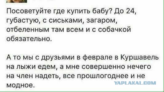 Прикольные картинки с надписями