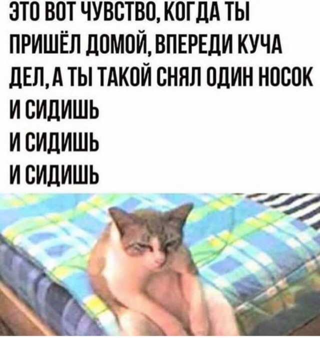 13123303.jpg