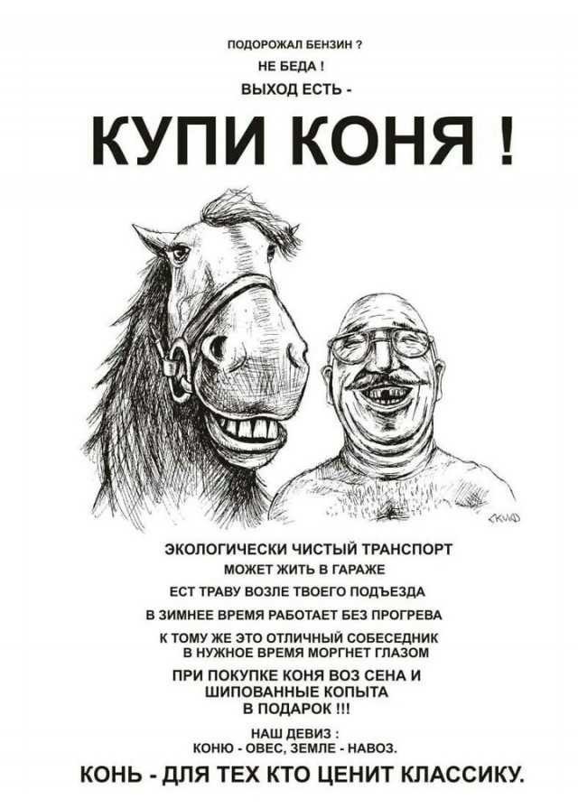 Почему мой транспортный налог идёт на дороги Чечни, которая ничего не платит