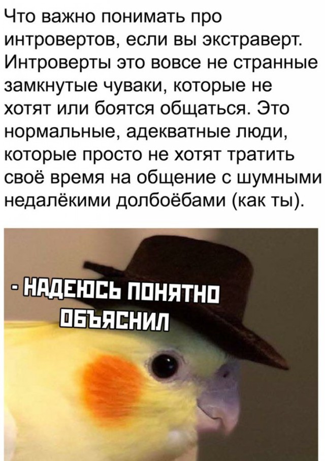 В чем разница между интровертами и экстравертами?